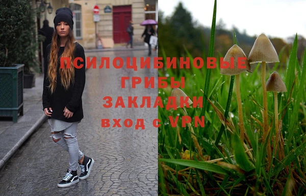первитин Абинск