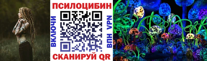 blacksprut tor  Кирс  Псилоцибиновые грибы Cubensis 