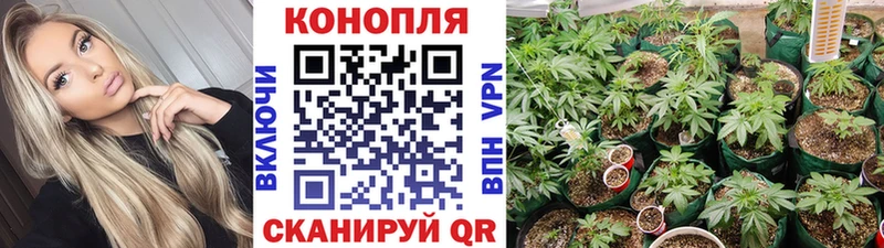 Каннабис тримм  Кирс 